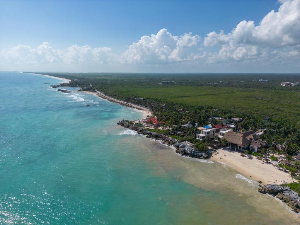 Tropicalito Tulum photo 3