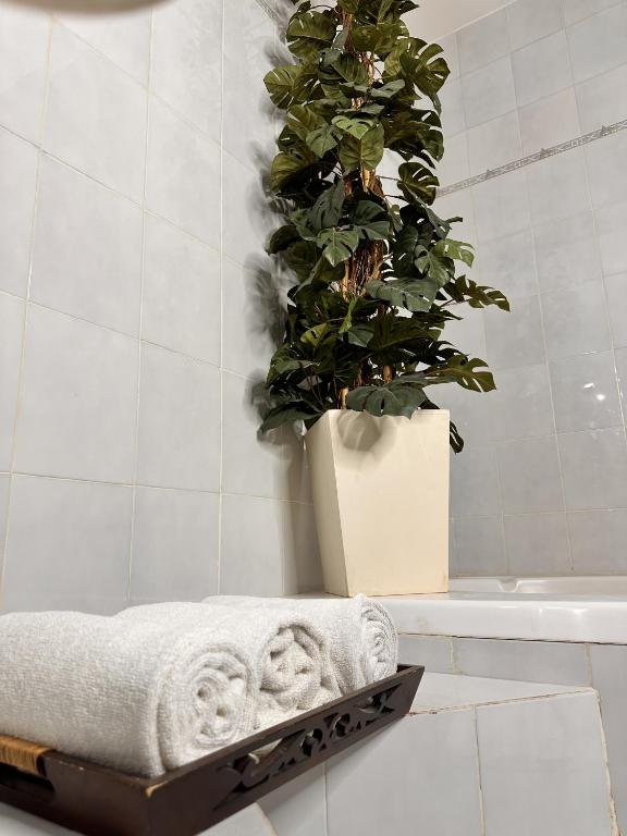 Hotel del Fresno photo 3