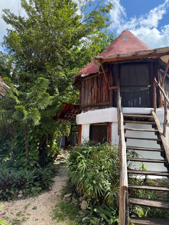 Tree House Tulum — photo 1
