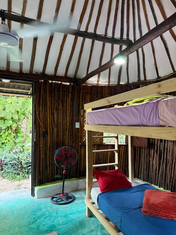 Tree House Tulum photo 2