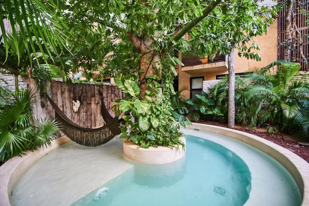 Tribu 205 Magical 1BR APT minutes from the Sea 50MB WIFI — photo 1