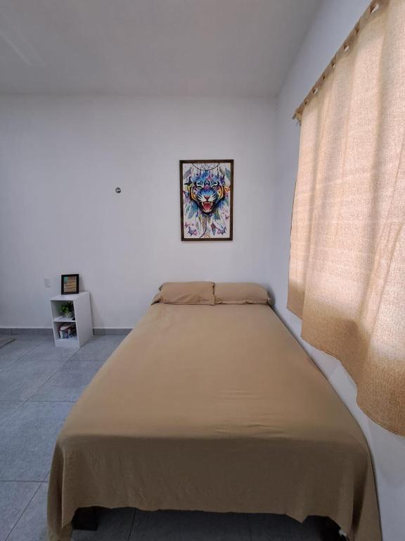 Tierra Maya photo 2