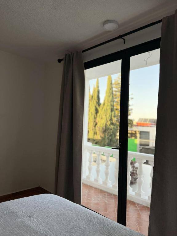 Habitacion Roma en The Green Door photo 2