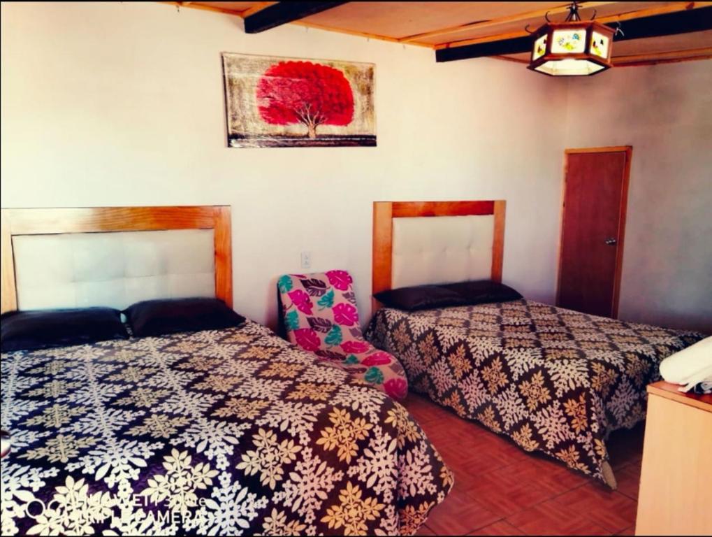 Nice Quadruple Cabin Equipped And Very Central — photo 1
