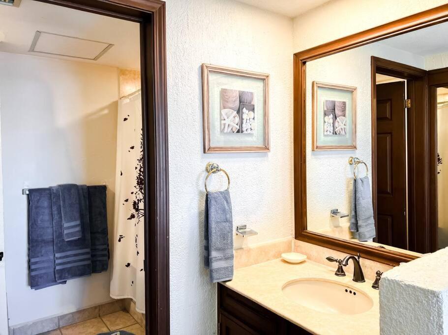 Sandy Beach Princesa A103 Ocean Front Resort photo 3
