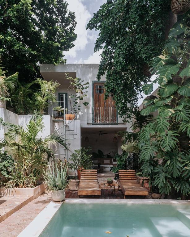 Casa Mezcla - Bed & Breakfast photo 2