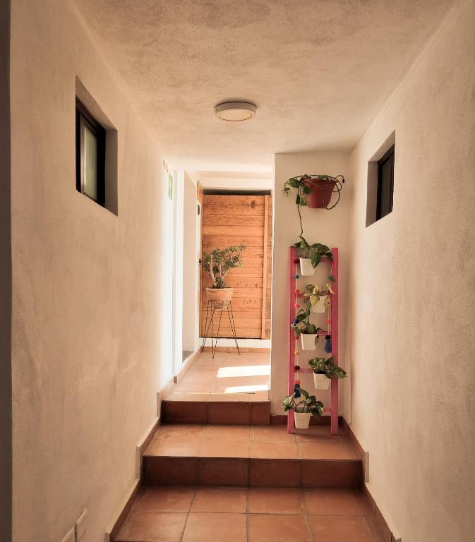 Santa Josefita B&B photo 3