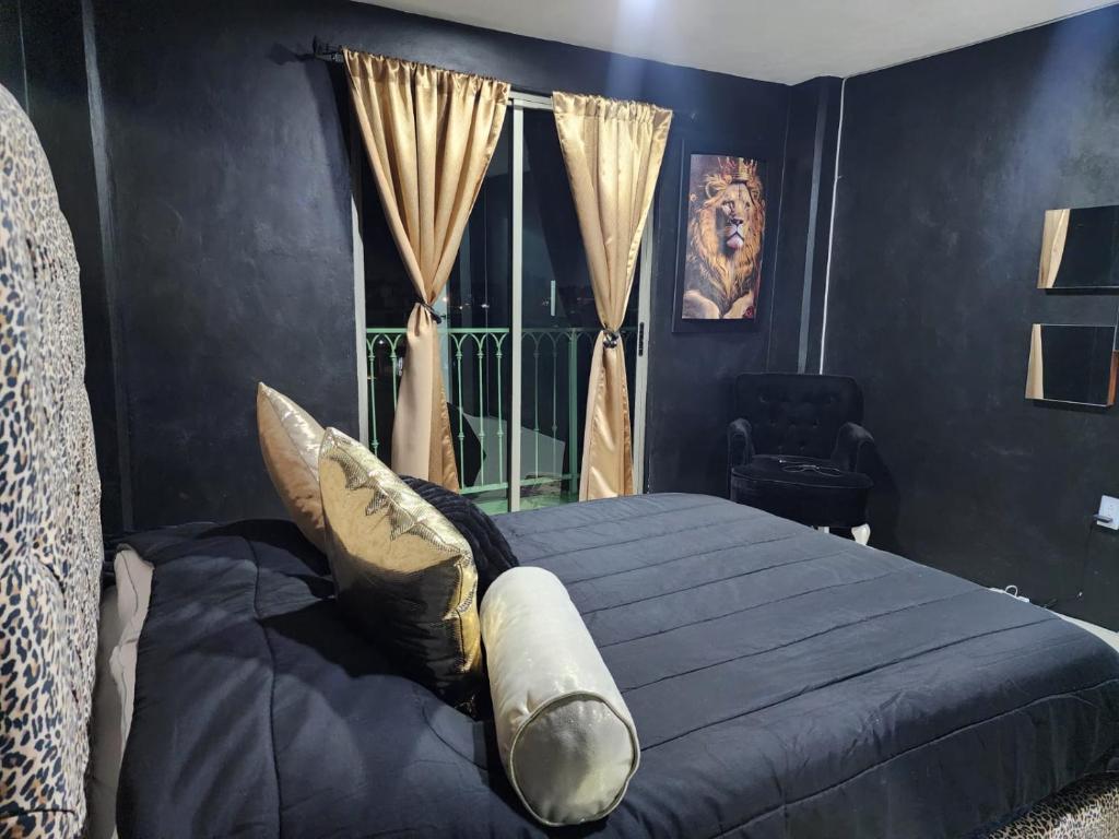 SUITES LIVE Toluca photo 2