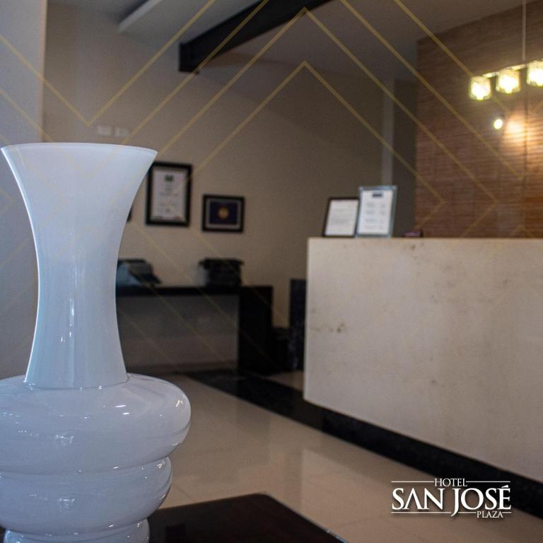 Hotel San José Plaza Coatepec photo 3