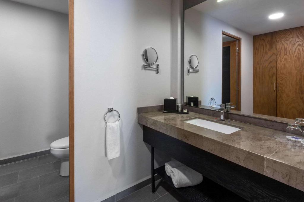 TRYP by Wyndham San Luis Potosi Hotel & Suites photo 3