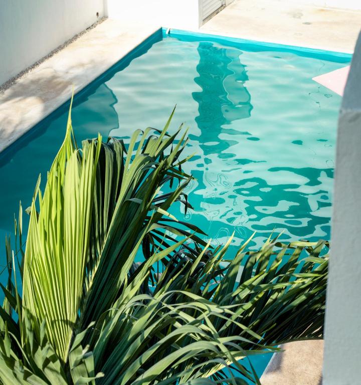 hotel stella maris tulum — photo 1
