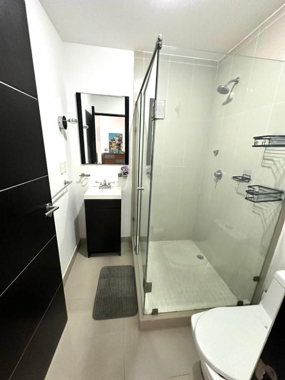 Suite Cancun Plaza photo 3
