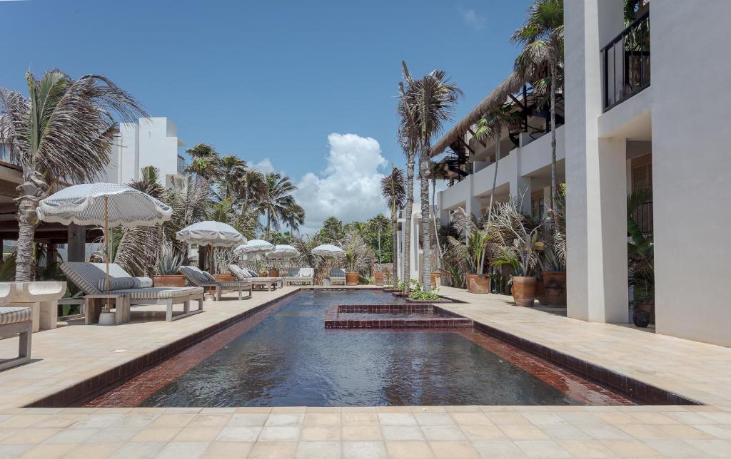 Suites Panamera photo 3