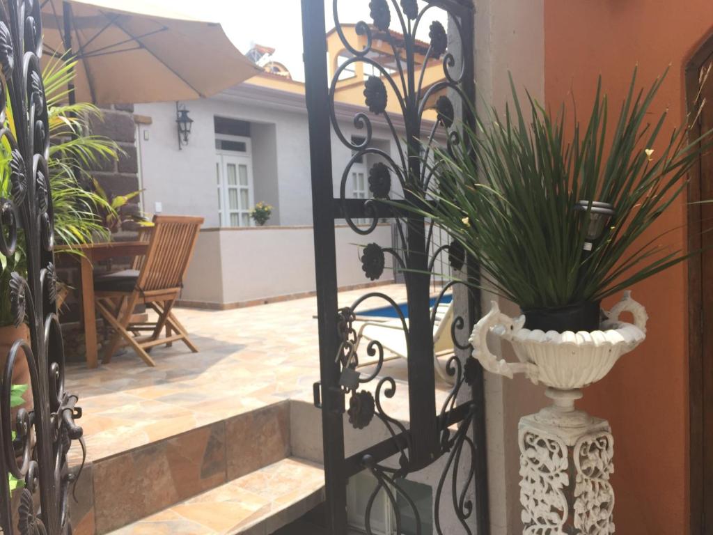 Suites colibri — photo 1