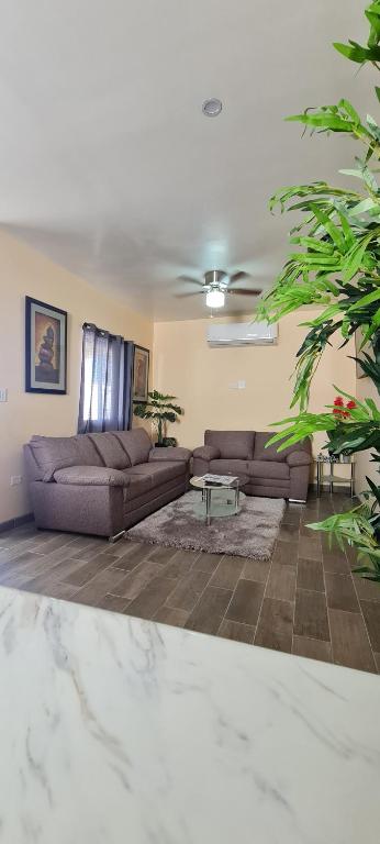 super condo with fiber optic internet — photo 1