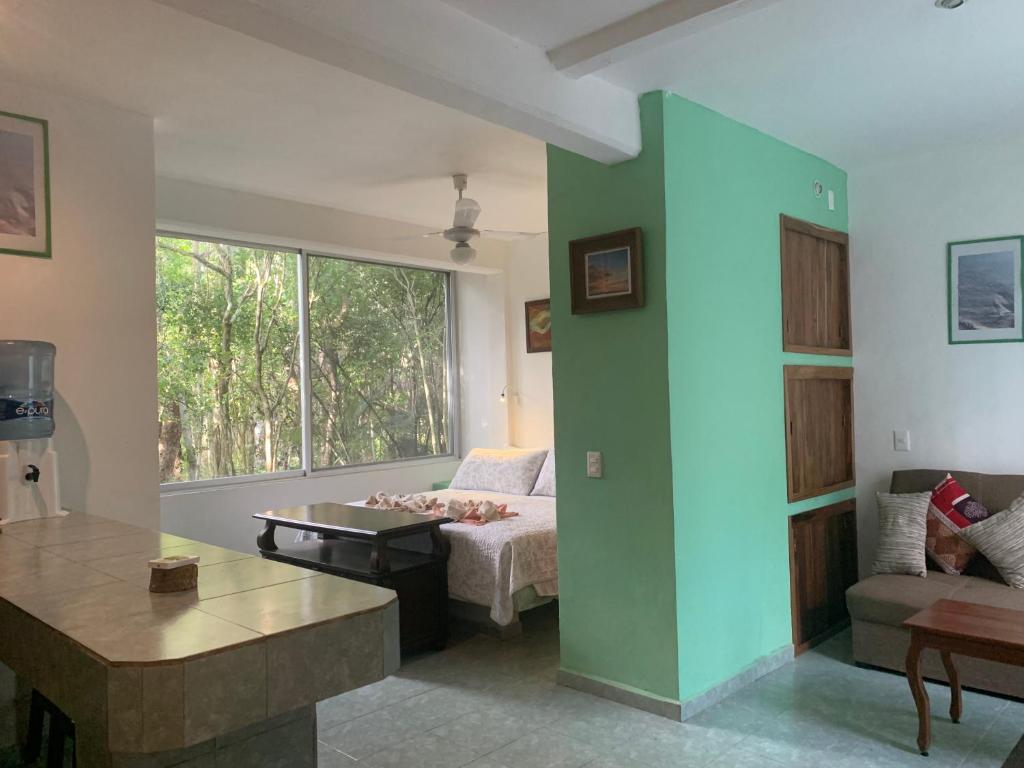 Studio with swimming pool at 12 m height over jungle — photo 1