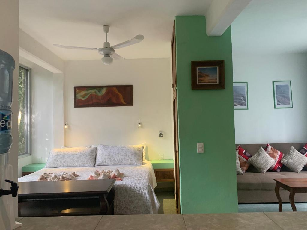Studio with swimming pool at 12 m height over jungle photo 3