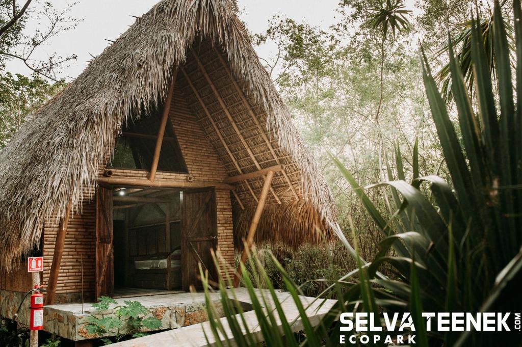 Selva Teenek Eco-Park — photo 1