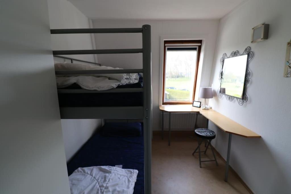 Zouterik 5* photo 2