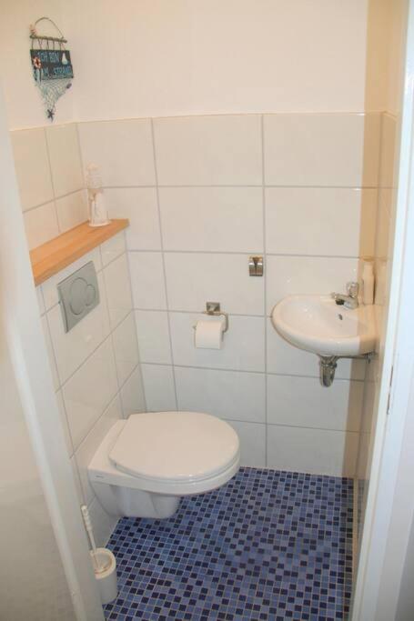 Zouterik 5* photo 3