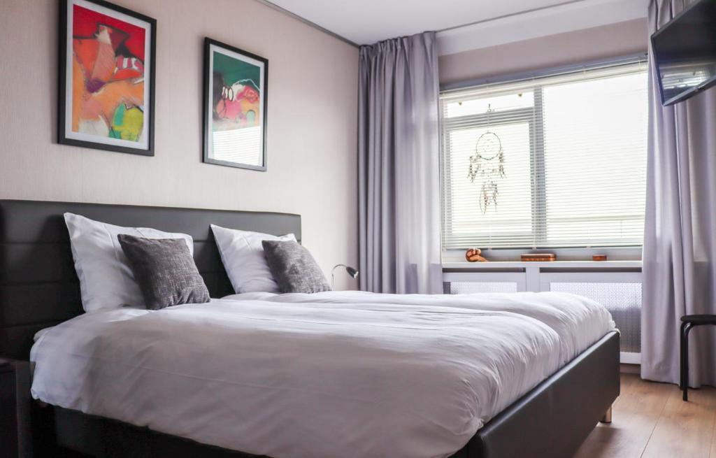 Sterflat 223 photo 2