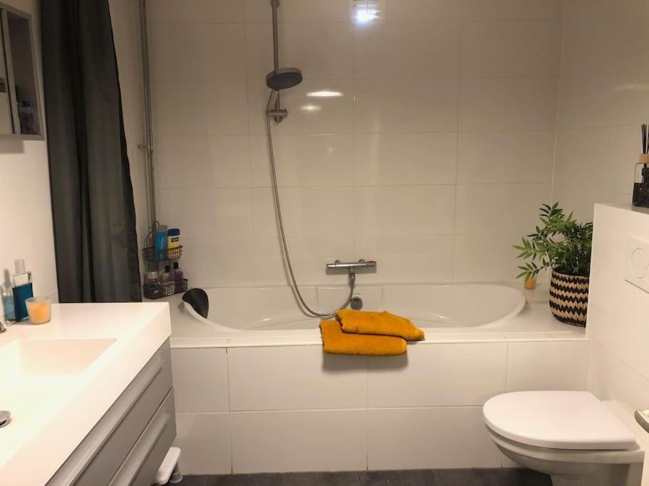 Sfeervol loft in Koudum photo 3