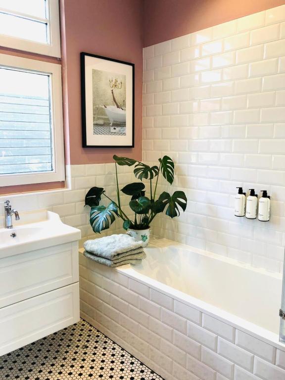 HOMESTEAD Amsterdam photo 3