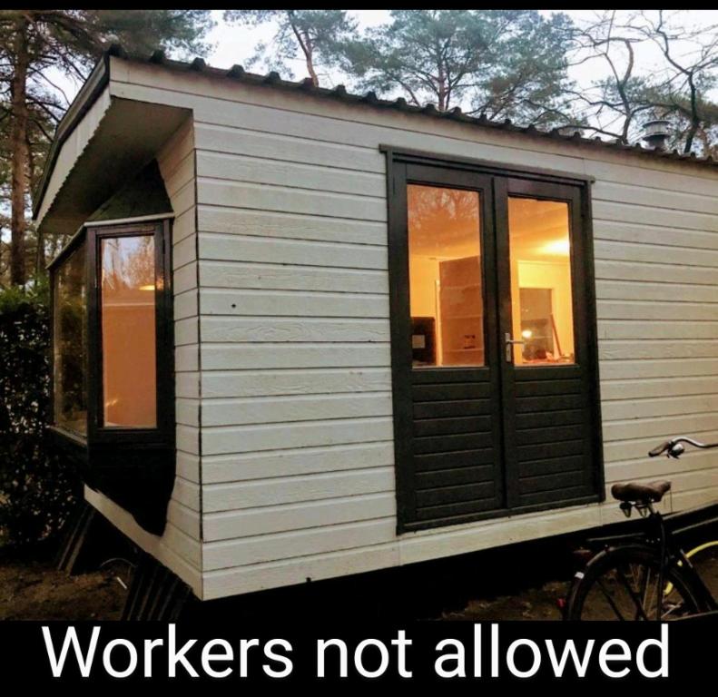 Wulft 47 Zonnig gezellig 6p chalet met zwembad in bosrijke omgeving op Familie Camping de Vossenburcht — photo 1