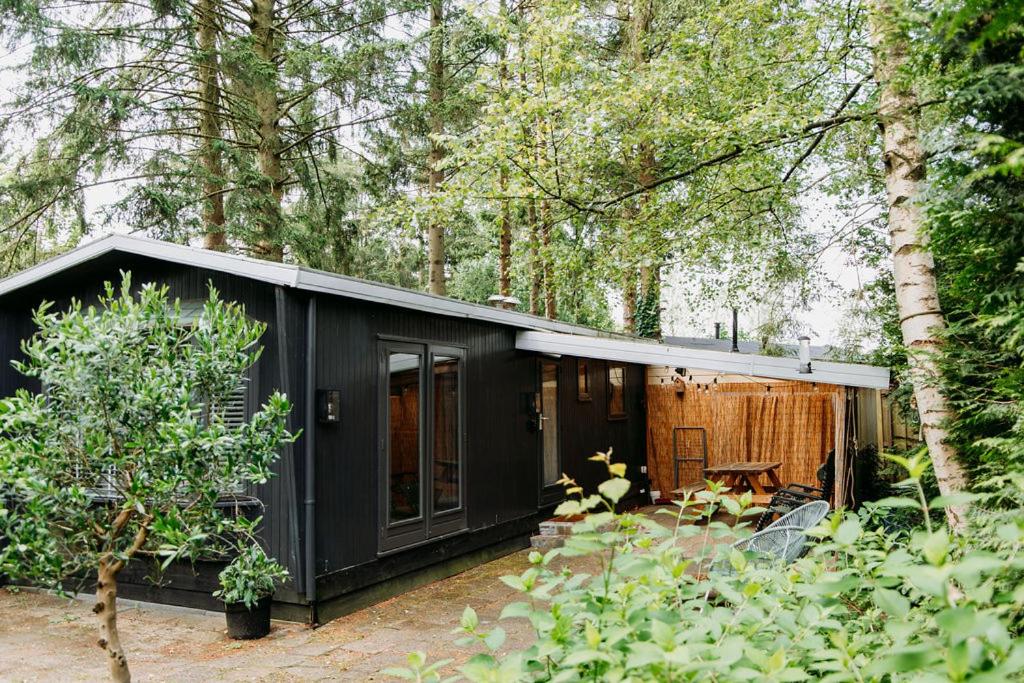 Tiny Cabin Mae op de Veluwe — photo 1