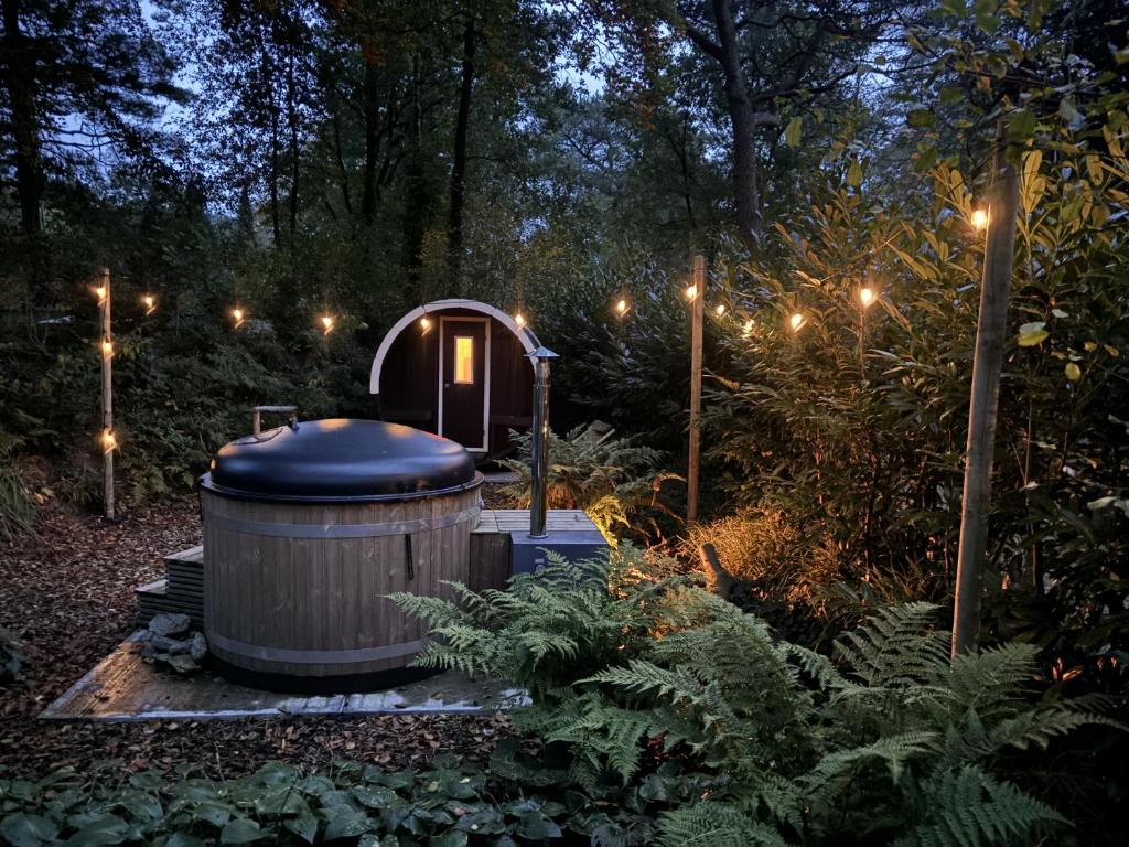 Mooi 4p Wellness chalet in het Bos met finse Sauna en Hottub photo 2