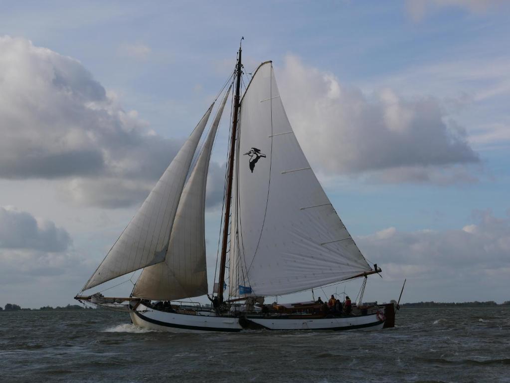 Tjalkjacht Pelikaan Lemmer — photo 1