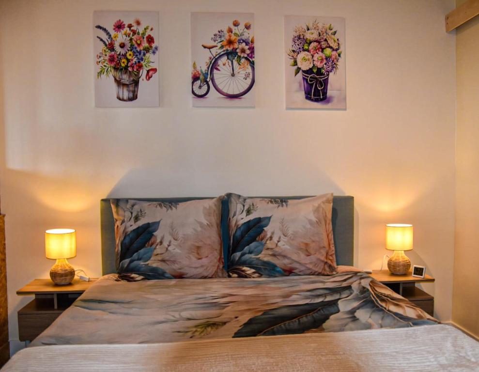 Mimosa bed & breakfast in IJsselmuiden photo 2