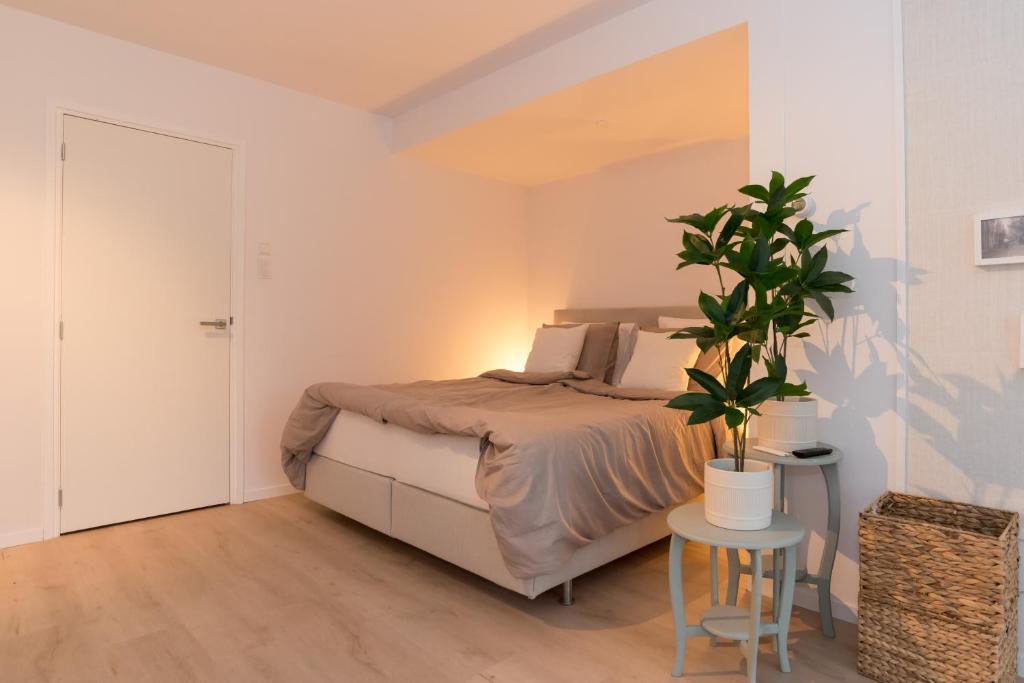 Studio Loet photo 2