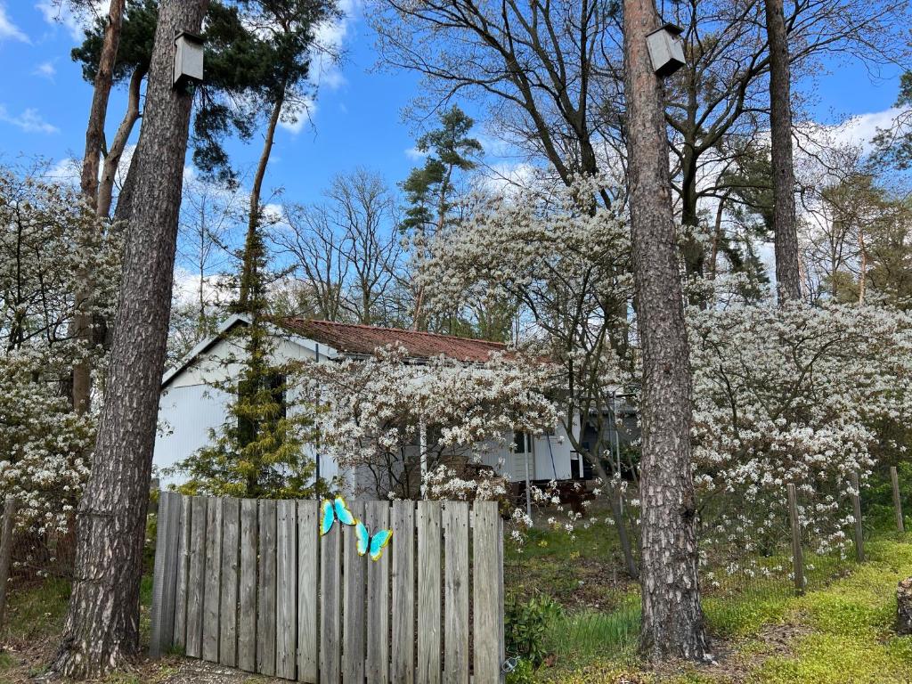 Ruime Chalet i/h bos met grote tuin en zwembad — photo 1