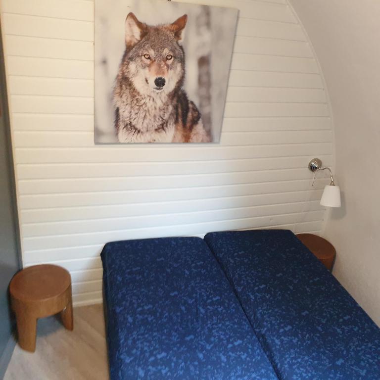 Iglo Bungalow 36 photo 2