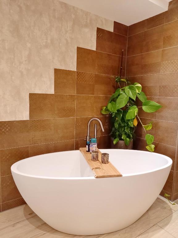 Suite Pura Vida photo 3