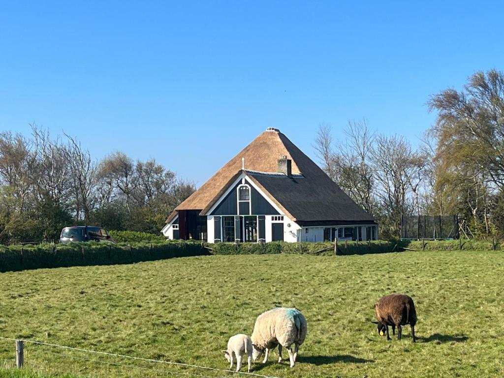 Zuid Haffel — photo 1