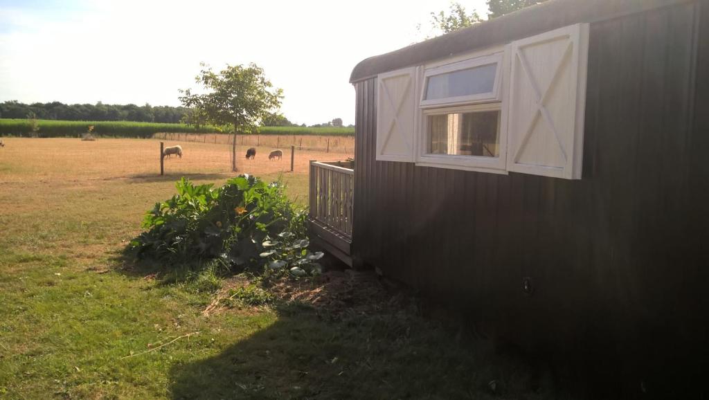 Pipowagen Lidewei Groningen Westerwolde unieke ligging met eigen tuin en vrij uitzicht over veld naar natuurgebied — photo 1