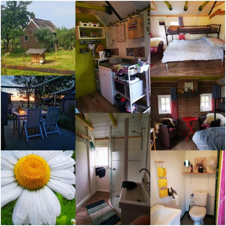 Trekkershut - Tiny House - Hikers cottage — photo 1