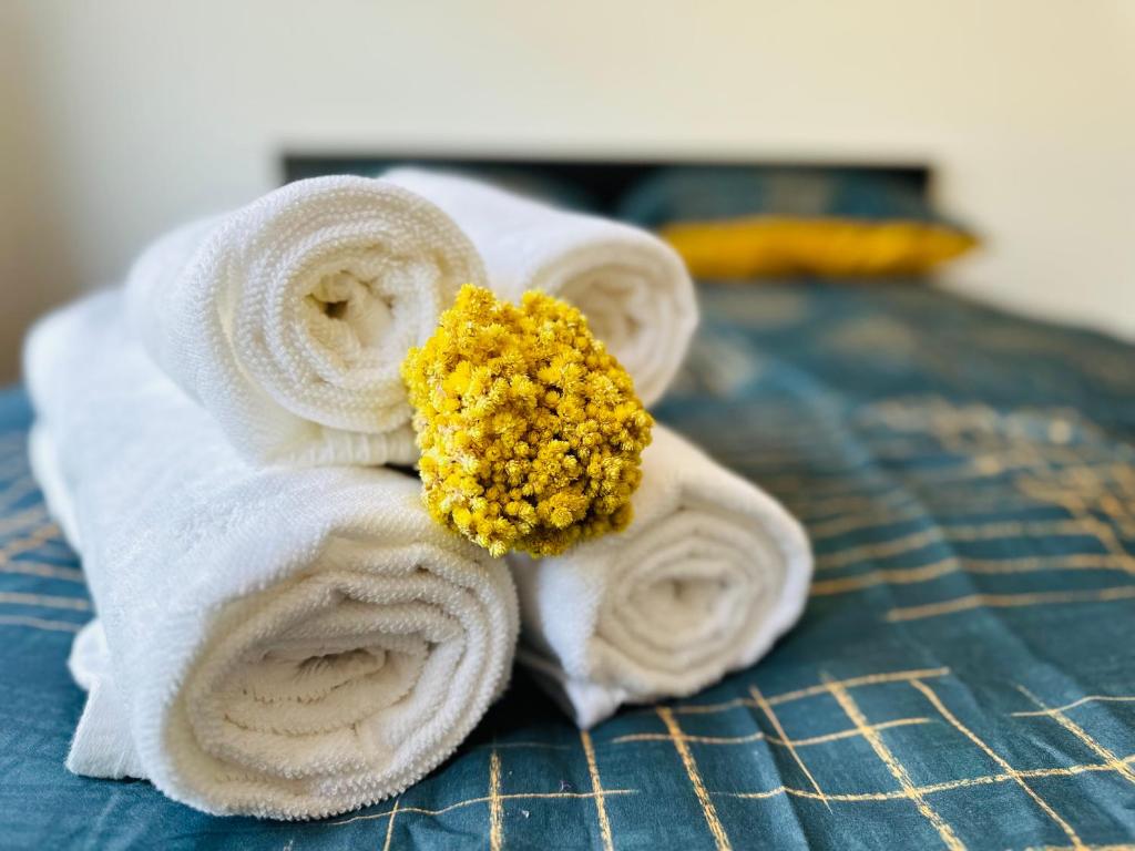Sunshine Suites — photo 1