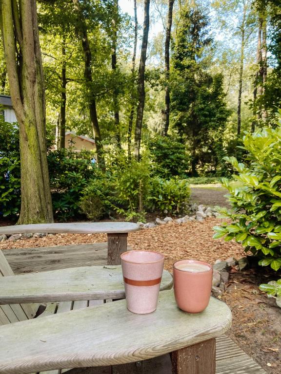 Sfeervol Tiny House in het Bos photo 2