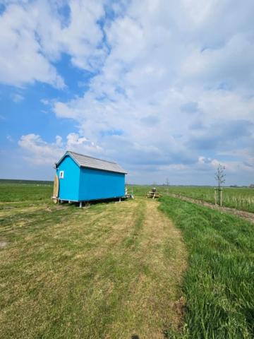Surf Shack — photo 1