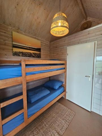 Surf Shack photo 2