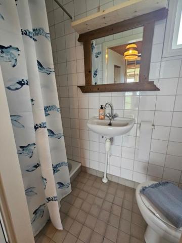 Surf Shack photo 3