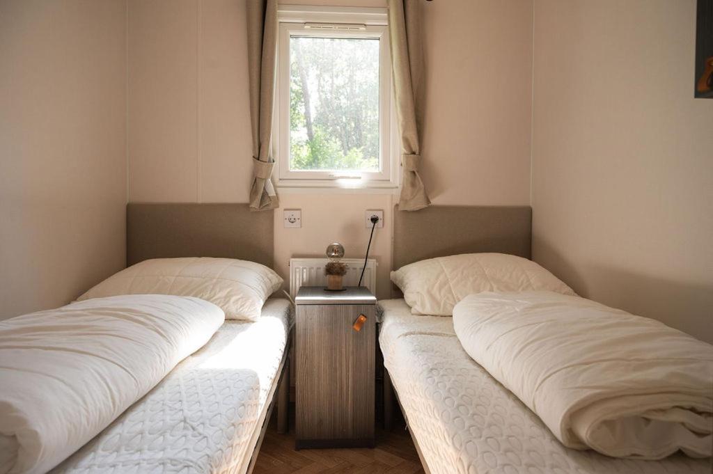 Wild Flower Wellness met privé Sauna en Hottub in prachtige tuin met overkapping photo 2