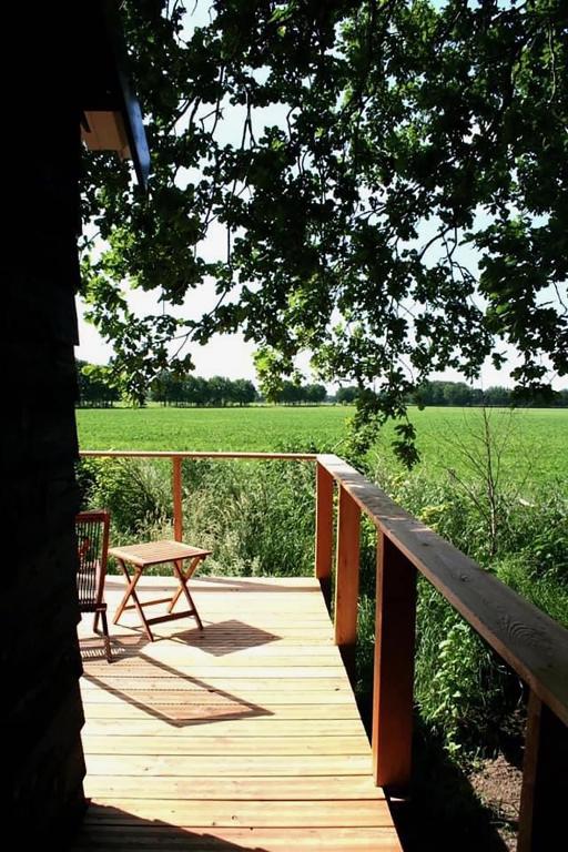 Shepherd's Hut a tiny ecohouse near Dwingelderveld photo 2