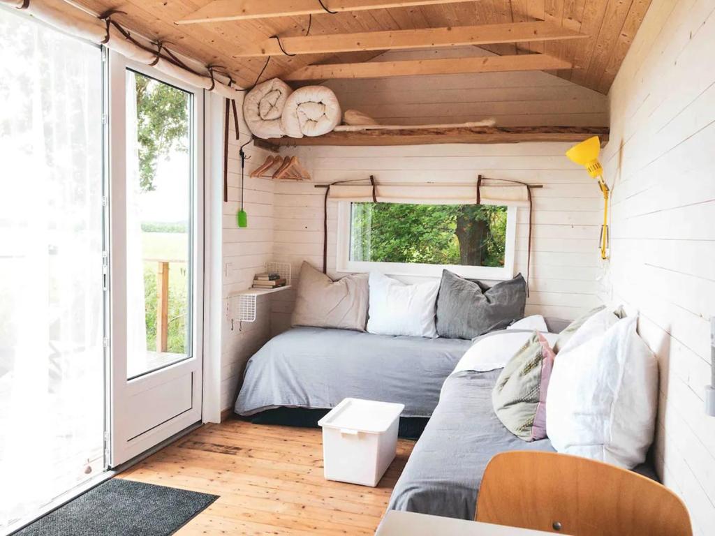 Shepherd's Hut a tiny ecohouse near Dwingelderveld photo 3