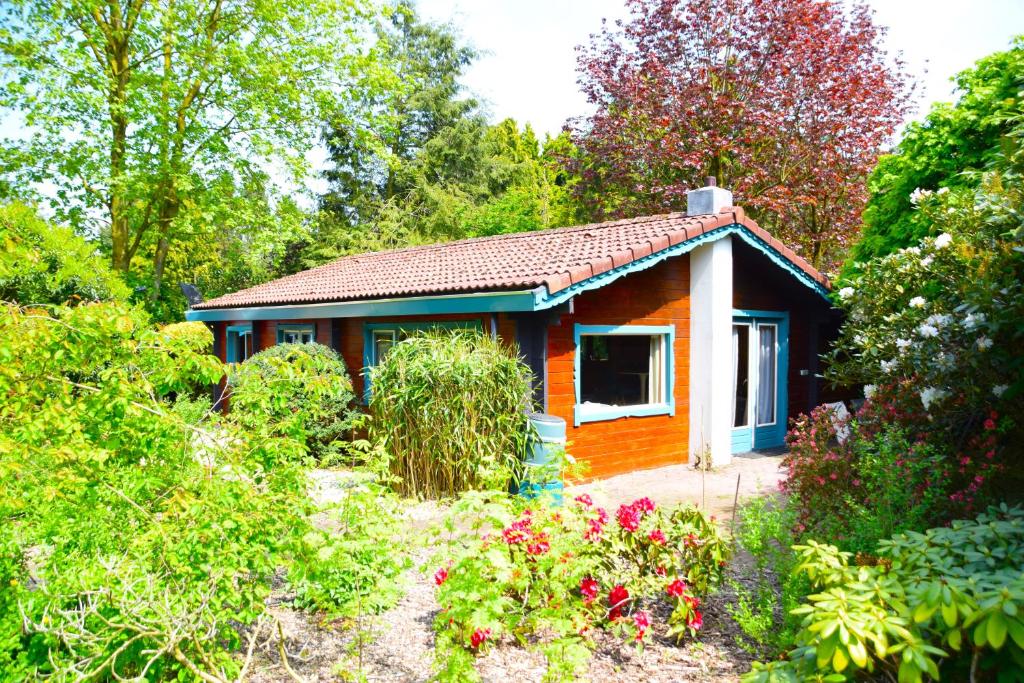 Sfeervol houten huis I Bosrijk Veluwe — photo 1