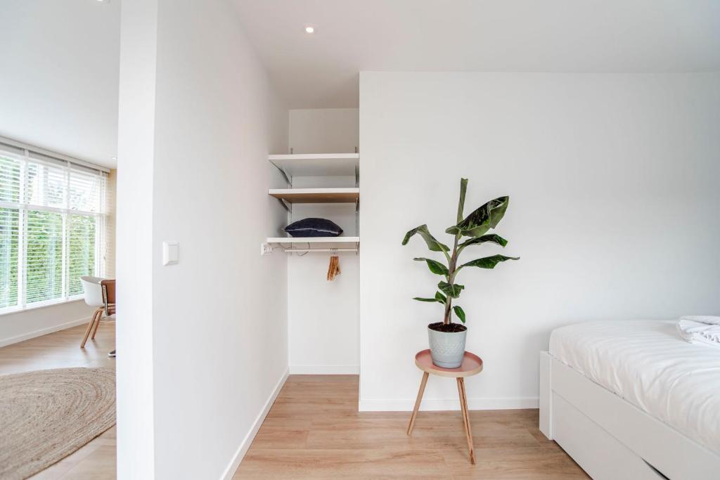 The Shell Apartment photo 2