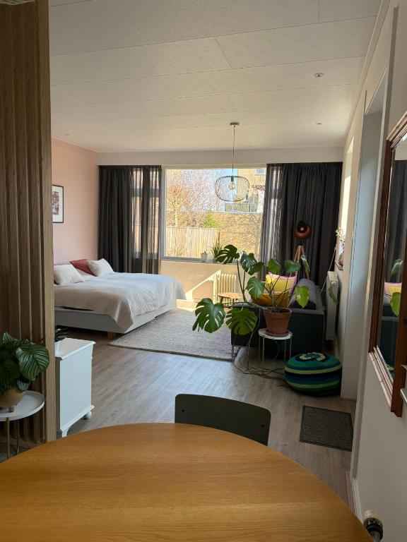 Studio Brinkstraat photo 2